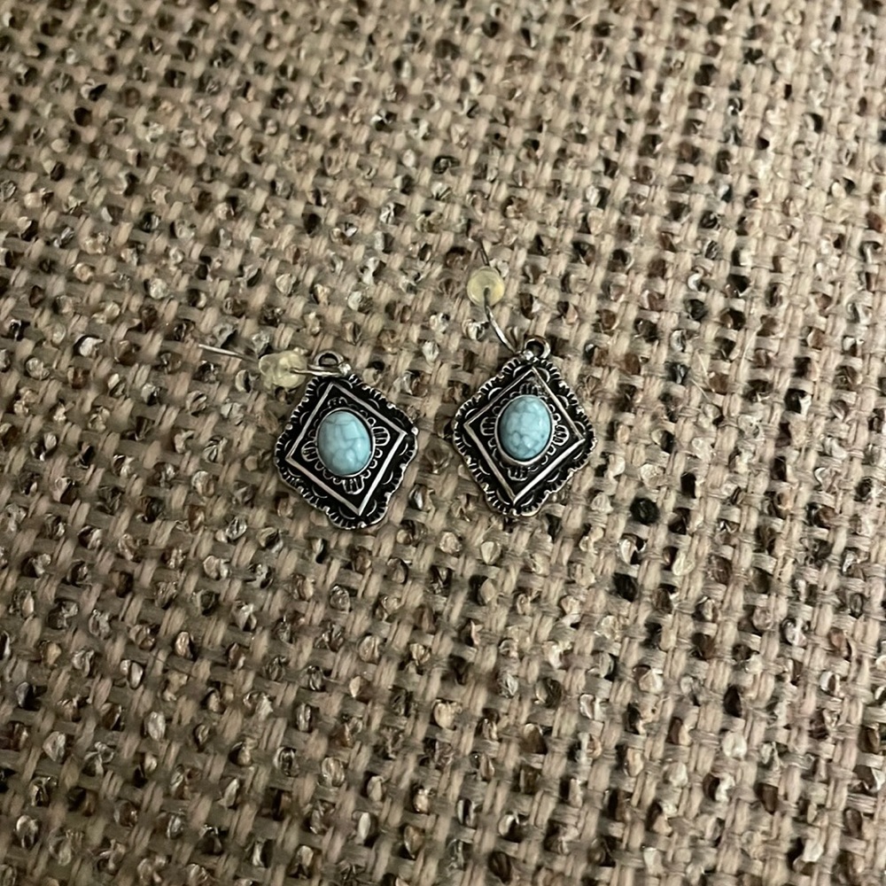 Cute blue and silver earrings